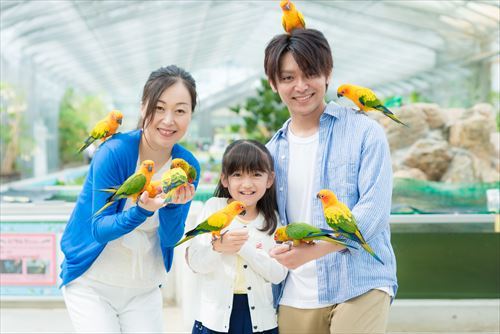 掛川花鳥園の今日 明日の天気 週末の天気 紫外線情報 お出かけスポット天気 日本気象協会 Tenki Jp