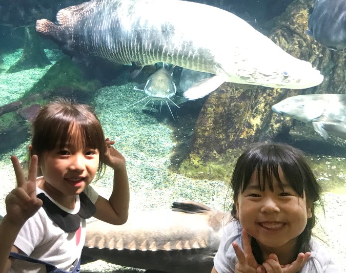 世界淡水魚園水族館 アクア・トト ぎふ | 子供とお出かけ情報「いこーよ」