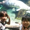 世界淡水魚園水族館　アクア・トト ぎふ