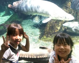 世界淡水魚園水族館　アクア・トト ぎふ