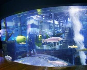 山梨県立富士湧水の里水族館