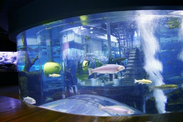 山梨県立富士湧水の里水族館