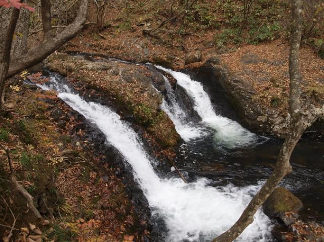 仙の滝