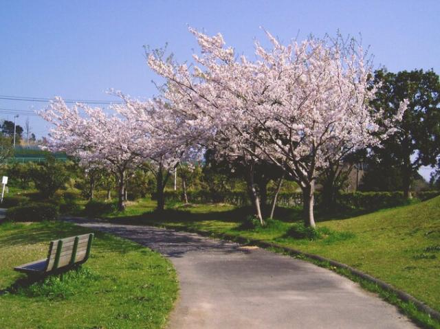 菊川中央公園