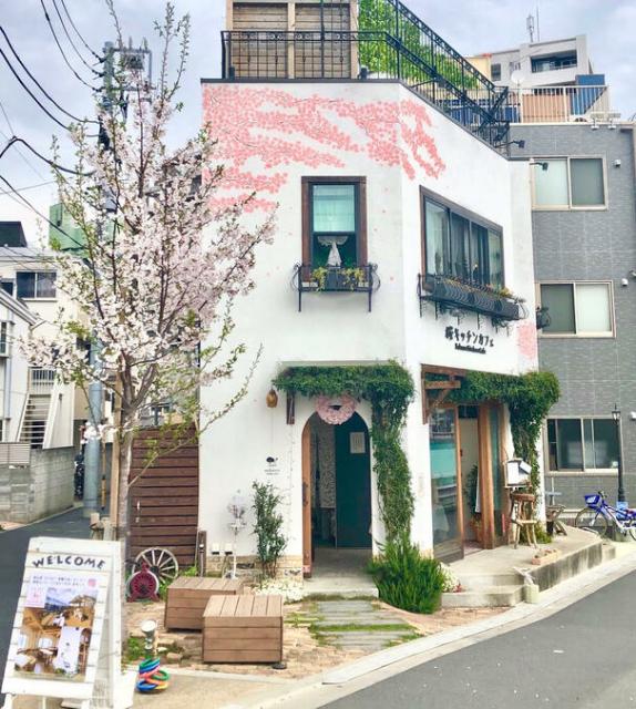 桜キッチンカフェ