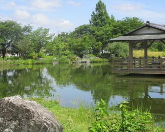 岡之郷緑地公園