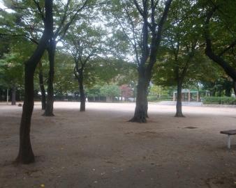 大泉公園