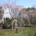 大仙公園（堺市堺区）