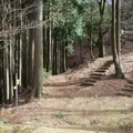 長野氏城跡