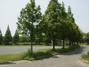 中山田池公園
