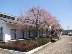 喜連川図書館