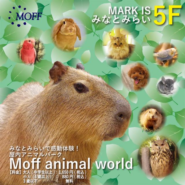 Moff animal world MARK IS みなとみらい店(モフアニマルワールド マークイズみなとみらい店)
