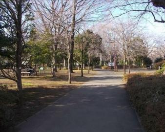 仙川公園（仙川平和公園）