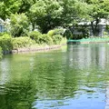浮間つり堀公園