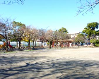 春江の森公園