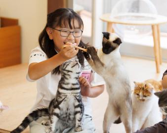 Cat Cafe MOFF ヨドバシAkiba店（キャットカフェモフ ヨドバシアキバ店）