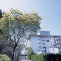 火の谷温泉　美杉リゾート