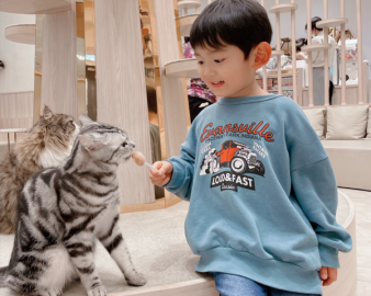 【2024年3月27日OPEN】猫カフェ MOCHA（モカ） イオンモール名古屋則武新町店