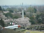 所沢航空記念公園