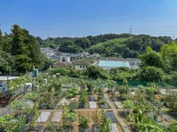 シェア畑　戸塚名瀬