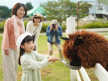 郡上市 外遊び 子供の遊び場・お出かけスポット
