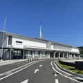南島原イルカウォッチング（旧かづさイルカウォッチング）
