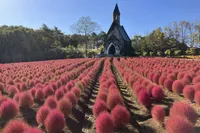 ひるがの高原 牧歌の里