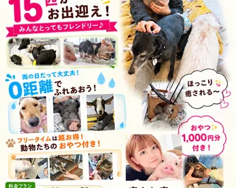 癒され亭　ふれあい動物園