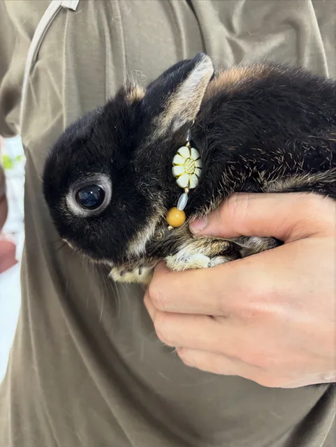 小さな動物園トコトコ