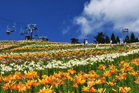 びわこ箱館山ゆり園 コキアパークの今日 明日の天気 週末の天気 紫外線情報 お出かけスポット天気 日本気象協会 Tenki Jp