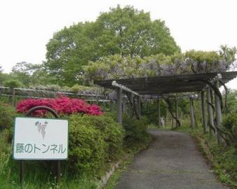 長野県で楽しめる植物園 子供の遊び場 お出かけスポット いこーよ