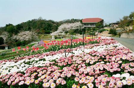 和歌山県植物公園緑花センターの今日 明日の天気 週末の天気 紫外線情報 お出かけスポット天気 日本気象協会 Tenki Jp