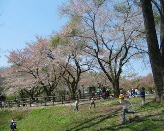 石川県林業試験場樹木公園