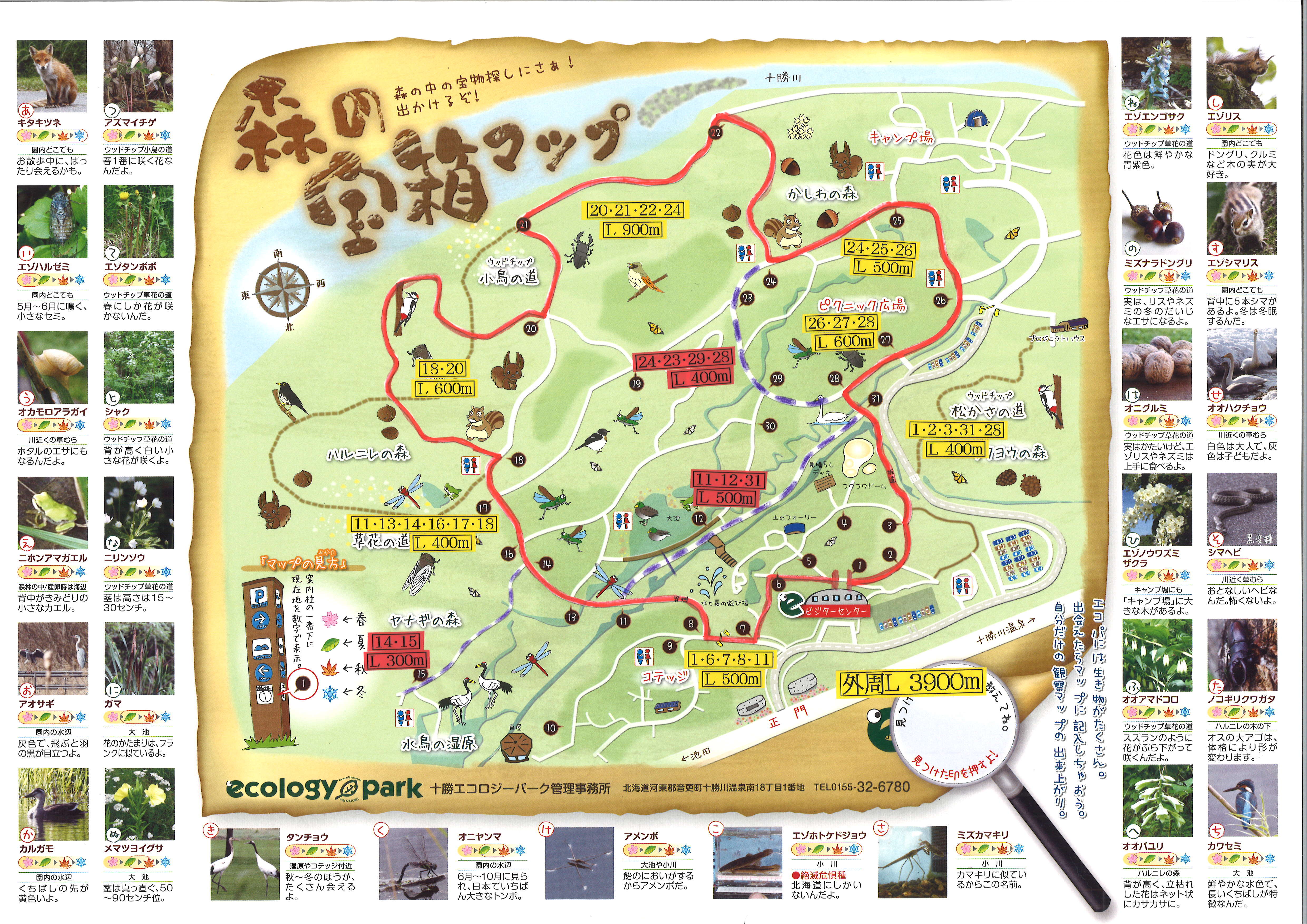 十勝エコロジーパークオートキャンプ場 ご予約は なっぷ 日本最大級のキャンプ場検索 予約サイト なっぷ