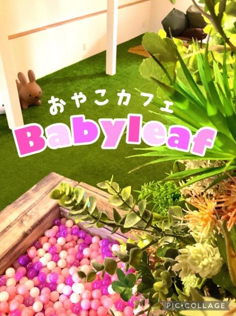 おやこカフェ Baby leaf(ベビーリーフ)