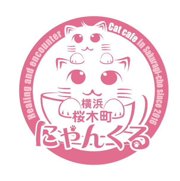 猫カフェ にゃんくる 桜木町店