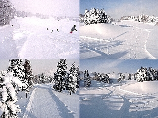 場 白鳥 高原 スキー