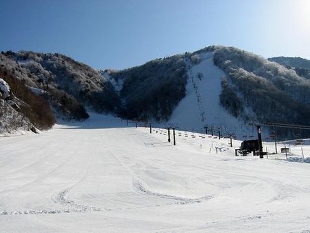 場 岐阜 県 スキー