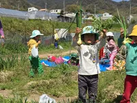 紀ノ川農園（体験農園マイファーム）
