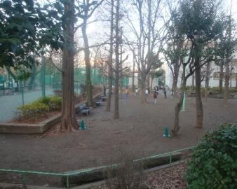 竹早公園