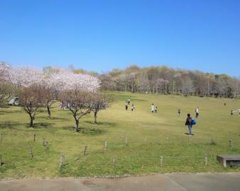 北総花の丘公園