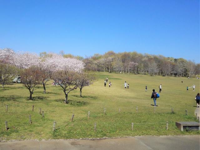 北総花の丘公園
