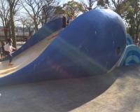 【施設写真】 子供に大人気のクジラ滑り台