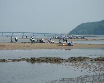 行橋市海岸線（長井浜海水浴場、蓑島海水浴場）