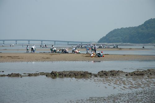 行橋市海岸線(長井浜海水浴場、蓑島海水浴場)