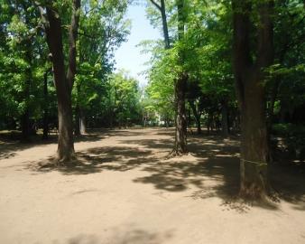 中央緑地公園