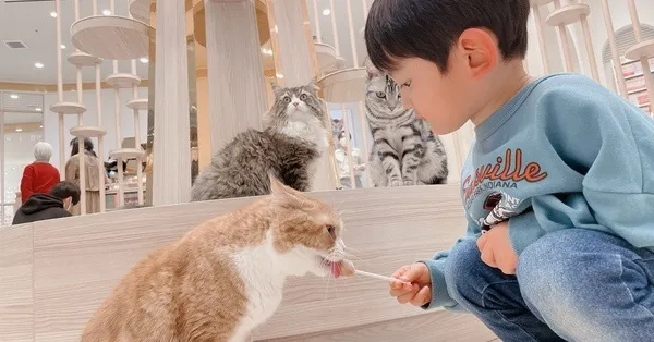 コマーシャルモール博多の周辺 子供の遊び場・子連れお出かけスポット 
