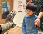 KABAZOO（カバズー）