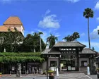 美らヤシパークオキナワ・東南植物楽園