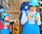 神戸の郷土料理「いかなご」の商品開発のお仕事体験